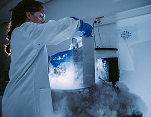 Making Use of Cryopreserved Mouse Repositories