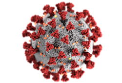 UPCOMING WEBINAR: COVID-19 Preclinical Disease Modeling and Vaccine Development