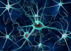 ON-DEMAND WEBINAR: Improving Preclinical Neuroscience Study Design with AlzPED Data