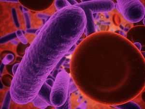 microbiome-immune-system-thumbnail