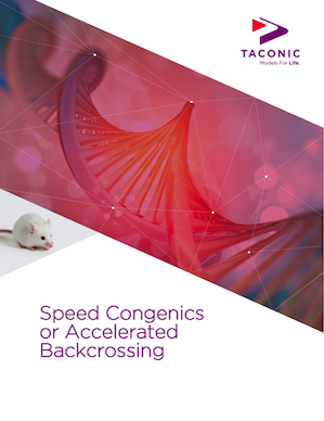 speed-congenics-or-accelerated-backcrossing