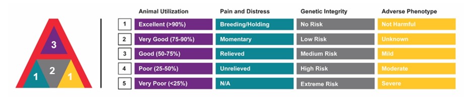 AWARE Program Scorecard.jpeg